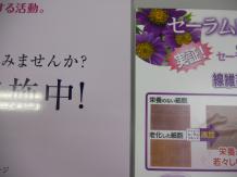UVコールドラミネート加工 マット/グロス(軟質フィルム)の商品参考画像