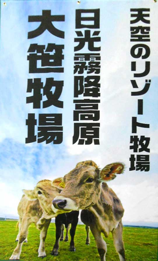 ポリエステル不織布ポスター(シースルクロス200μ)